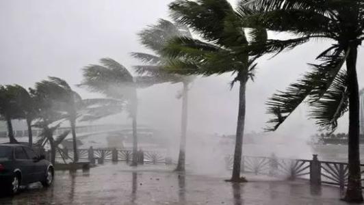 8月臺(tái)風(fēng)雨即將來(lái)，除濕機(jī)還得用起來(lái)