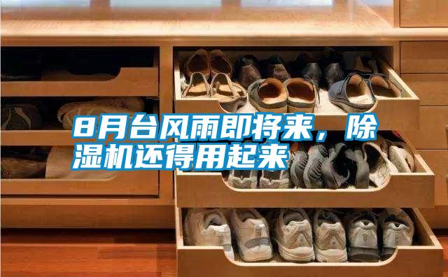 8月臺風雨即將來，除濕機還得用起來
