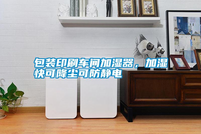包裝印刷車間加濕器，加濕快可降塵可防靜電