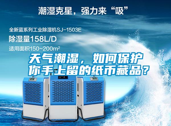 天氣潮濕，如何保護你手上留的紙幣藏品？