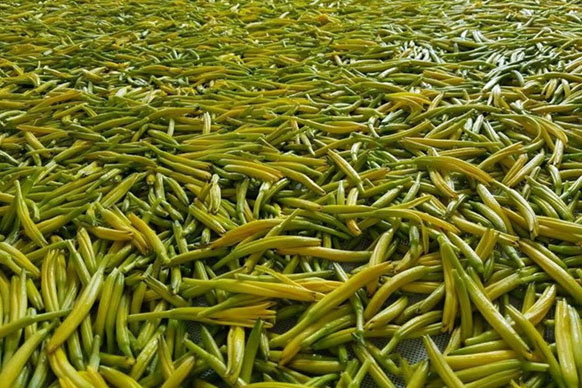 無硫金針菜烘干如何保持品相？不發(fā)黑？_除濕機(jī)廠家