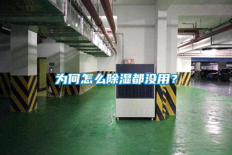為何怎么除濕都沒用？