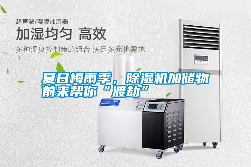 夏日梅雨季，除濕機(jī)加儲(chǔ)物前來幫你“渡劫”