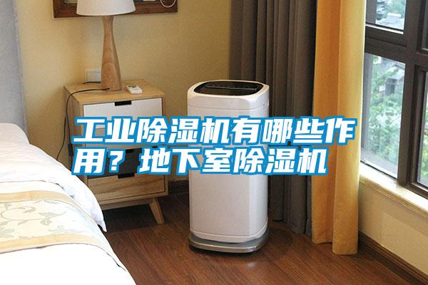 工業(yè)除濕機有哪些作用？地下室除濕機