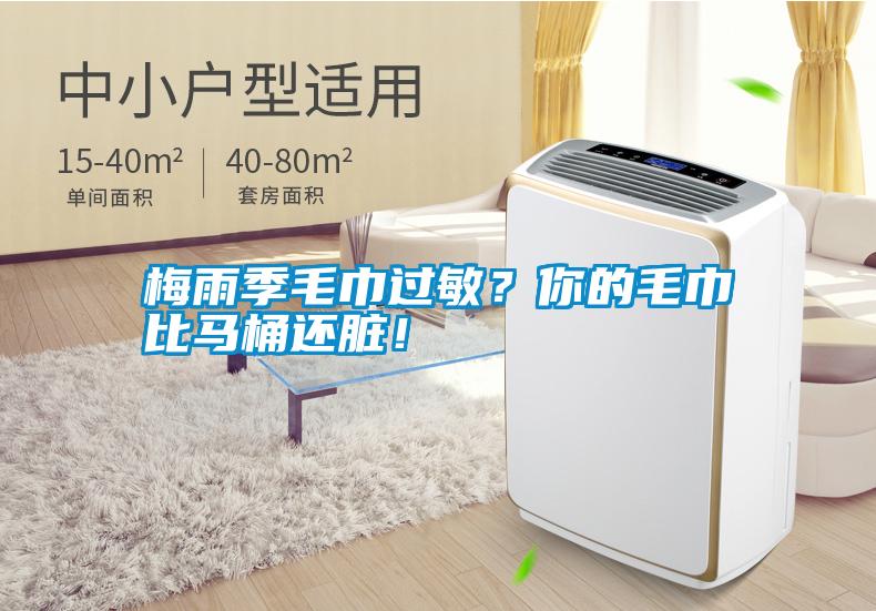 梅雨季毛巾過(guò)敏？你的毛巾比馬桶還臟！