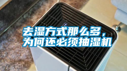 去濕方式那么多，為何還必須抽濕機(jī)