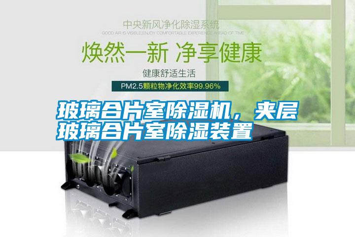 玻璃合片室除濕機(jī)，夾層玻璃合片室除濕裝置