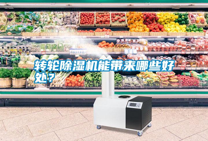轉(zhuǎn)輪除濕機(jī)能帶來哪些好處？