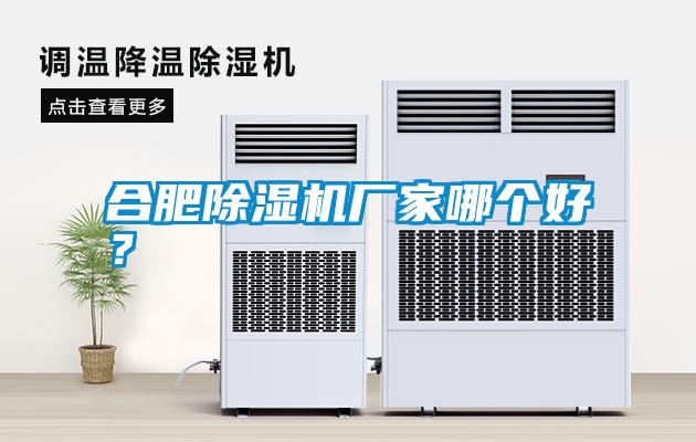 合肥除濕機(jī)廠家哪個好？
