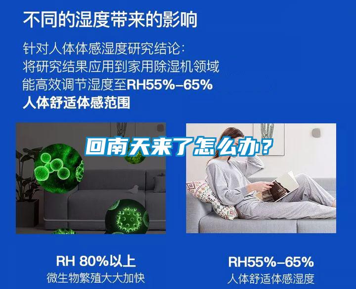 回南天來(lái)了怎么辦？