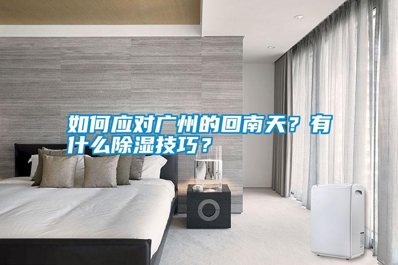 如何應(yīng)對廣州的回南天？有什么除濕技巧？