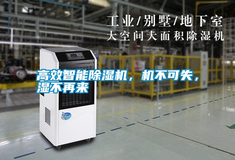 高效智能除濕機(jī)，機(jī)不可失，濕不再來