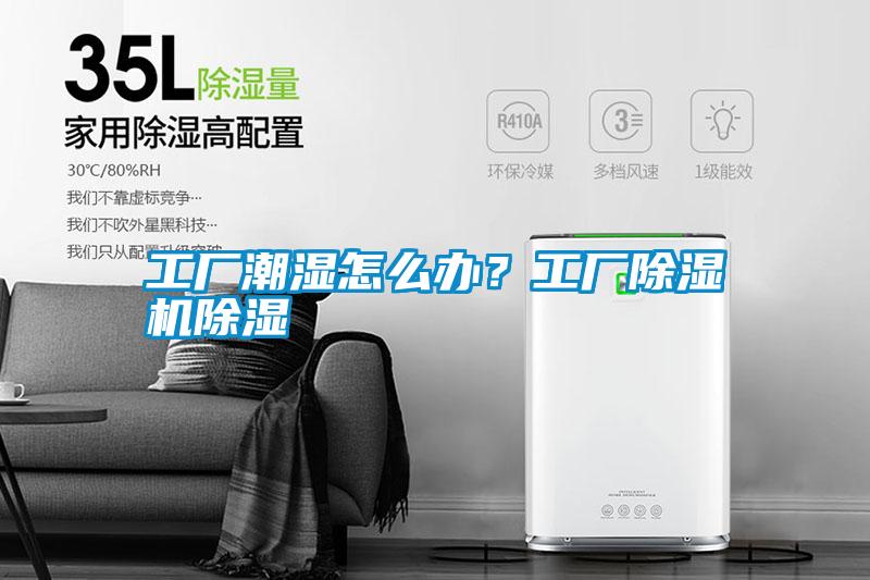 工廠潮濕怎么辦？工廠除濕機(jī)除濕