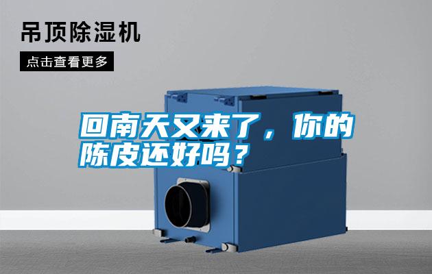 回南天又來了，你的陳皮還好嗎？