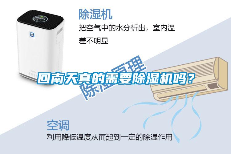 回南天真的需要除濕機嗎？