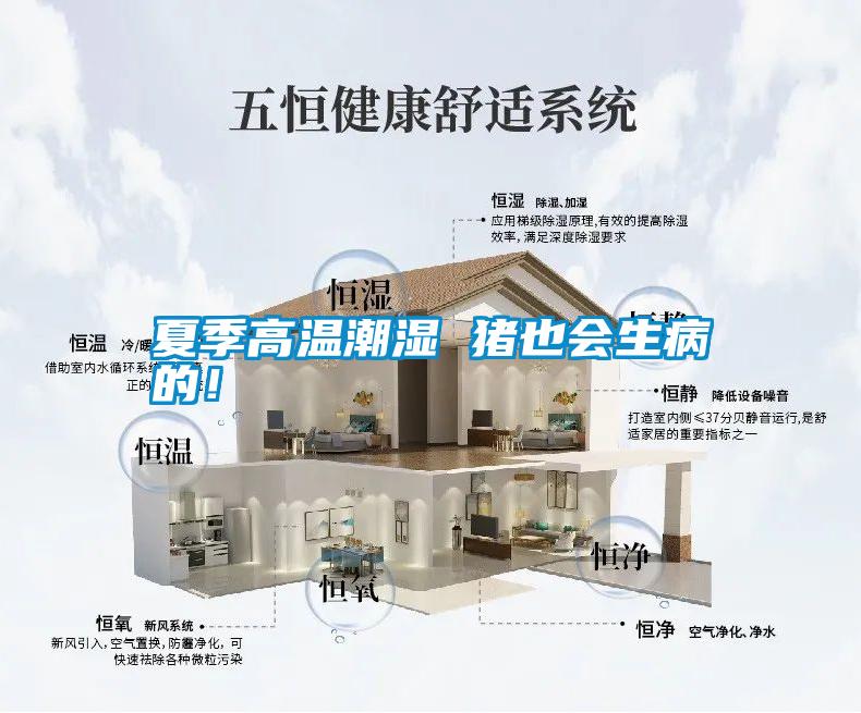 夏季高溫潮濕 豬也會(huì)生病的！