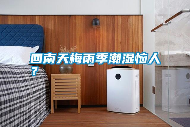 回南天梅雨季潮濕惱人？