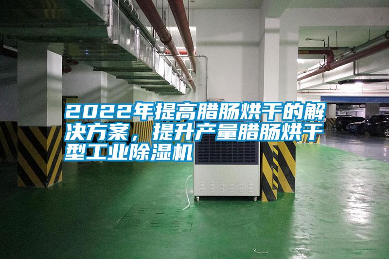 2022年提高臘腸烘干的解決方案，提升產(chǎn)量臘腸烘干型工業(yè)除濕機(jī)