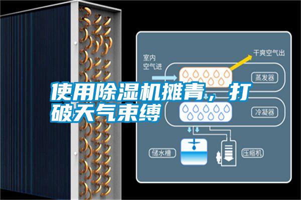 使用除濕機攤青，打破天氣束縛