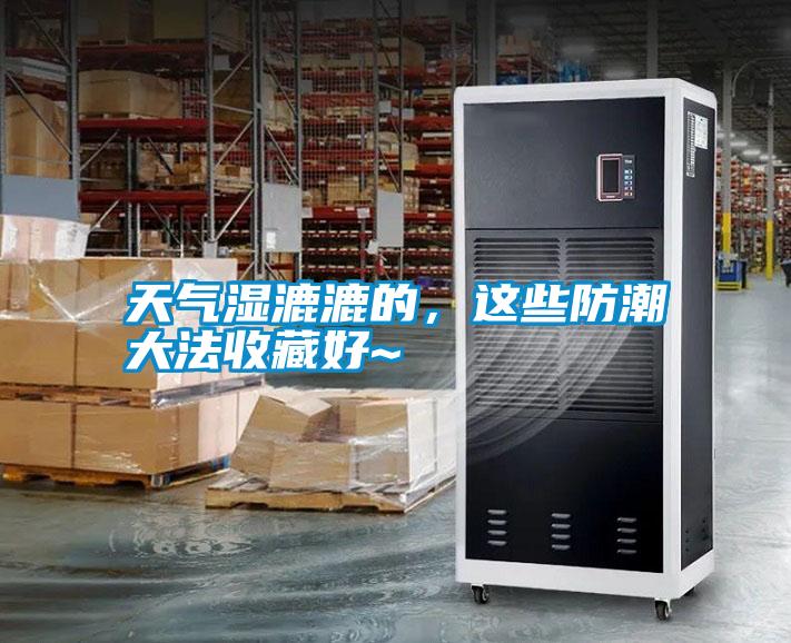 天氣濕漉漉的，這些防潮大法收藏好~