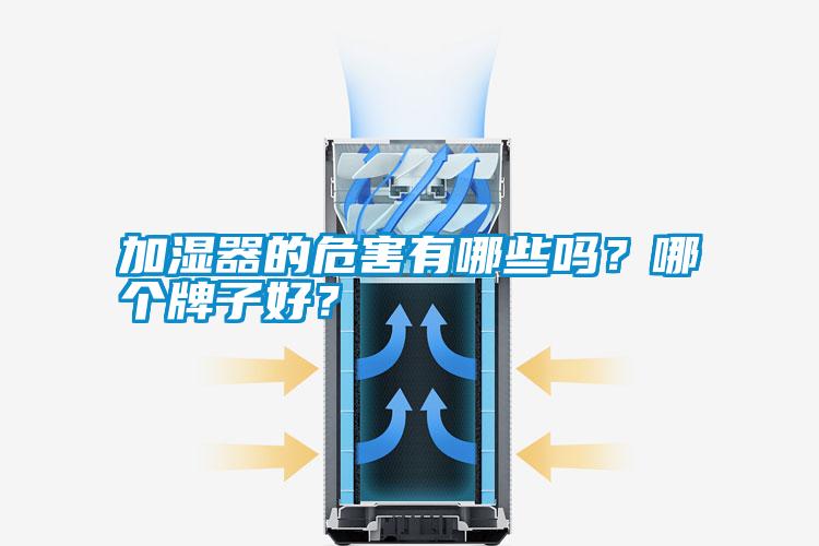 加濕器的危害有哪些嗎？哪個(gè)牌子好？