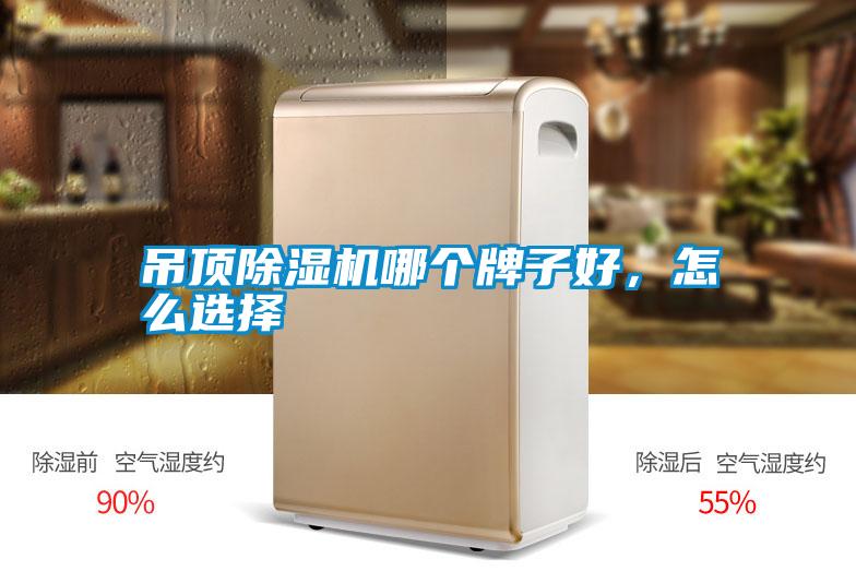 吊頂除濕機(jī)哪個(gè)牌子好，怎么選擇