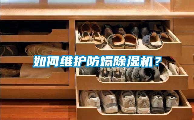 如何維護(hù)防爆除濕機(jī)？
