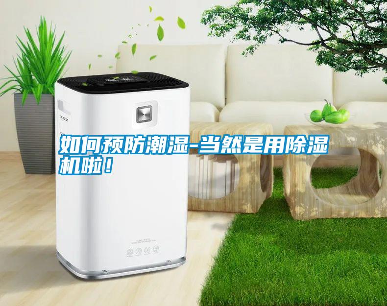 如何預(yù)防潮濕-當(dāng)然是用除濕機(jī)啦！
