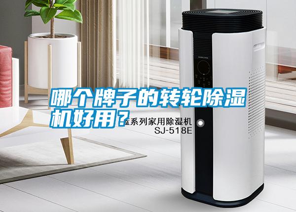 哪個(gè)牌子的轉(zhuǎn)輪除濕機(jī)好用？