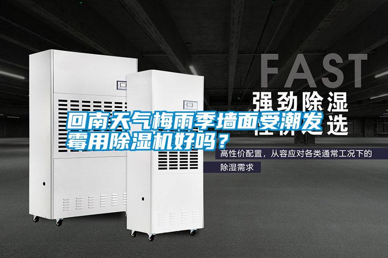 回南天氣梅雨季墻面受潮發(fā)霉用除濕機(jī)好嗎？