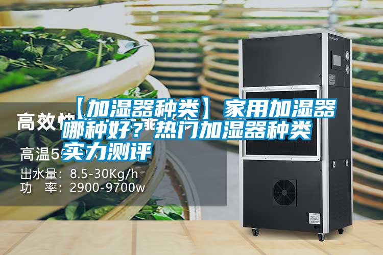【加濕器種類】家用加濕器哪種好？熱門加濕器種類實(shí)力測評