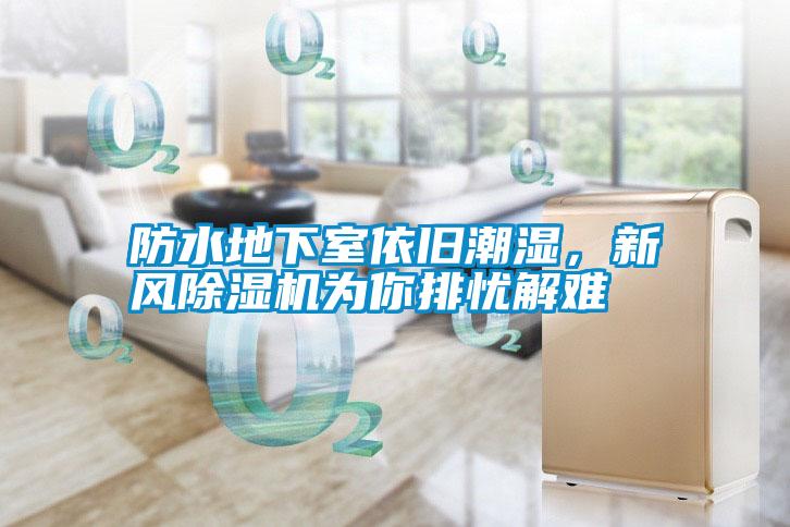 防水地下室依舊潮濕，新風(fēng)除濕機(jī)為你排憂解難