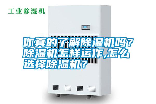 你真的了解除濕機(jī)嗎？除濕機(jī)怎樣運(yùn)作,怎么選擇除濕機(jī)？