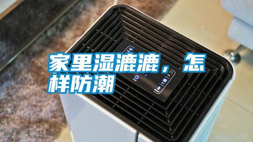 家里濕漉漉，怎樣防潮