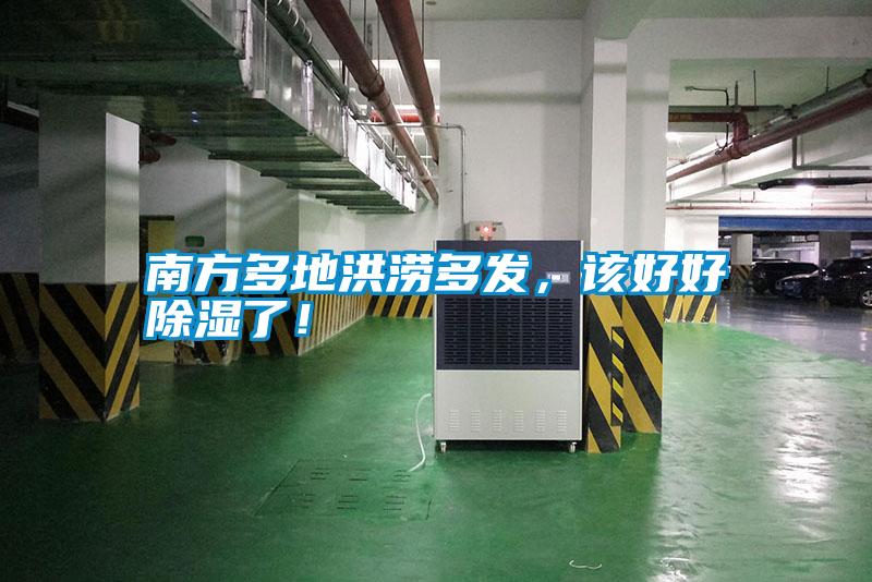 南方多地洪澇多發(fā)，該好好除濕了！