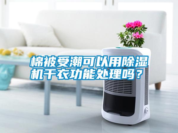 棉被受潮可以用除濕機(jī)干衣功能處理嗎？