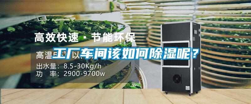 工廠車間該如何除濕呢？