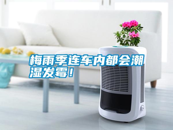 梅雨季連車內(nèi)都會潮濕發(fā)霉！
