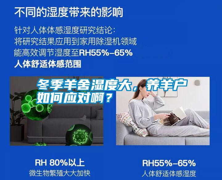 冬季羊舍濕度大，養(yǎng)羊戶如何應(yīng)對(duì)啊？