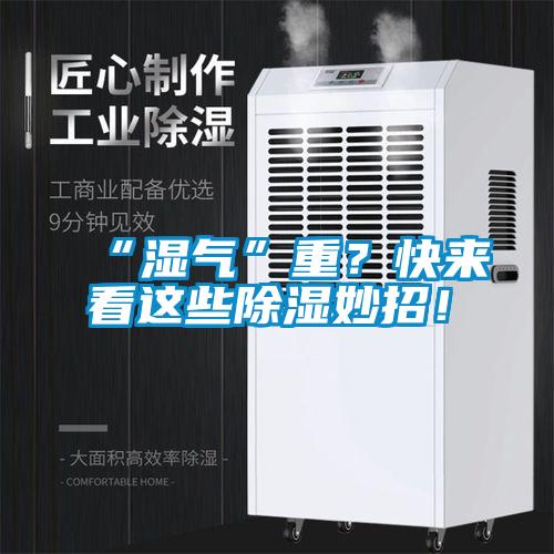 “濕氣”重？快來(lái)看這些除濕妙招！