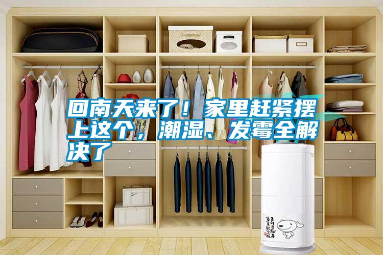 回南天來(lái)了！家里趕緊擺上這個(gè)，潮濕、發(fā)霉全解決了