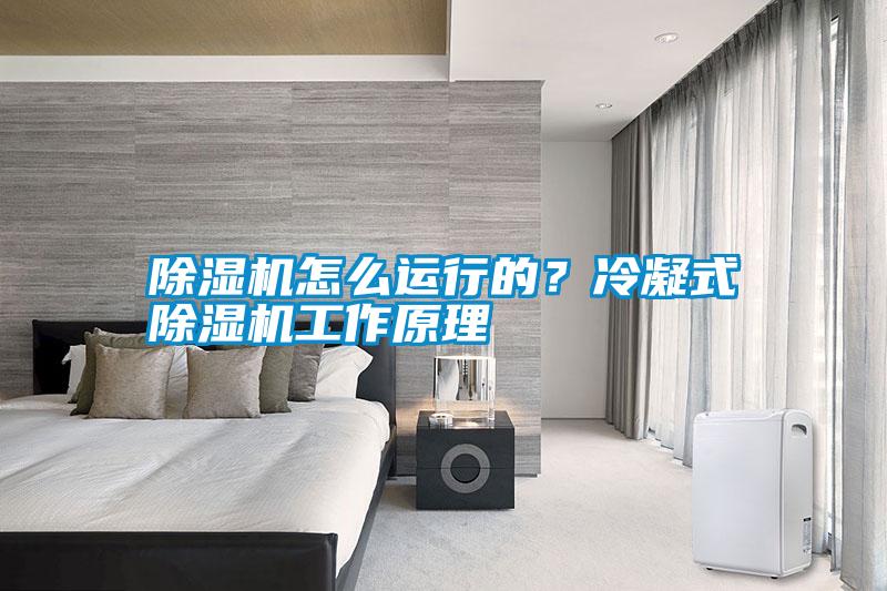 除濕機怎么運行的？冷凝式除濕機工作原理