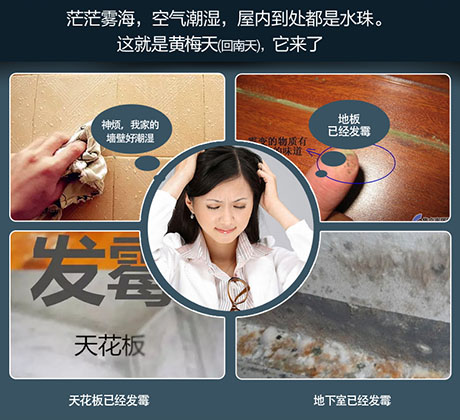 家庭別墅的地下室、衛(wèi)生間、儲物室等該如何除濕？