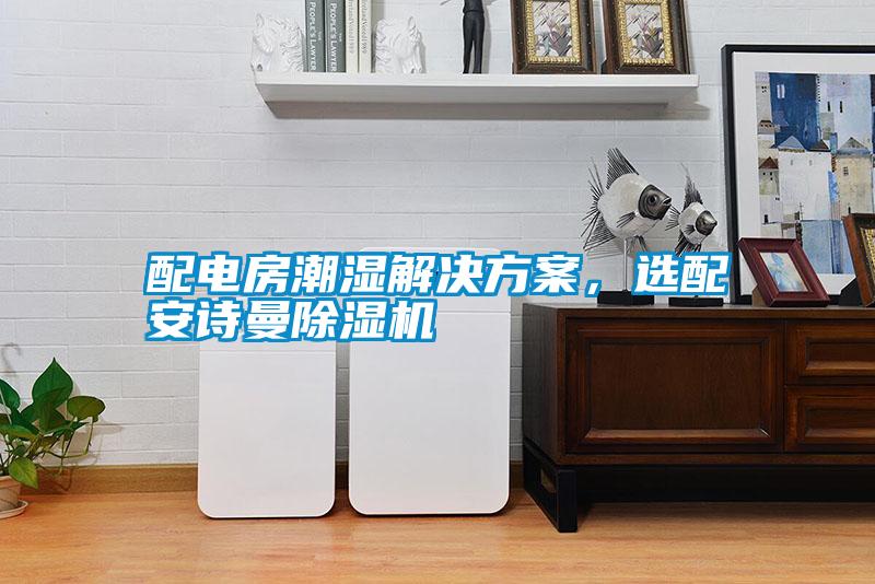 配電房潮濕解決方案，選配安詩曼除濕機(jī)