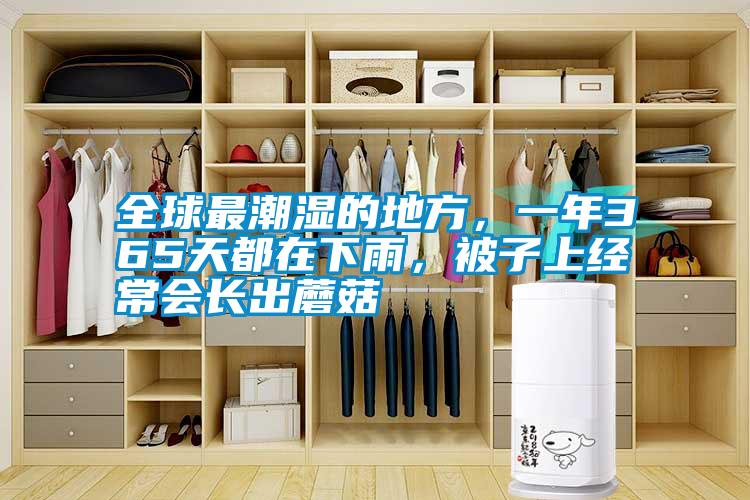 全球最潮濕的地方，一年365天都在下雨，被子上經(jīng)常會(huì)長(zhǎng)出蘑菇