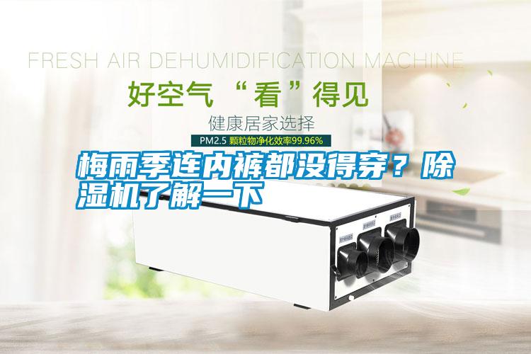 梅雨季連內(nèi)褲都沒得穿？除濕機了解一下