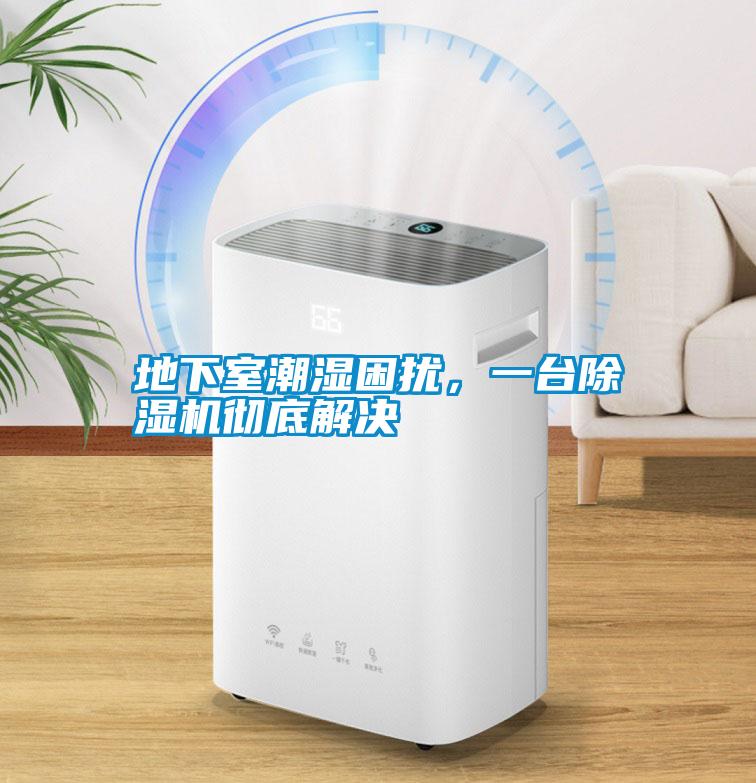 地下室潮濕困擾，一臺(tái)除濕機(jī)徹底解決