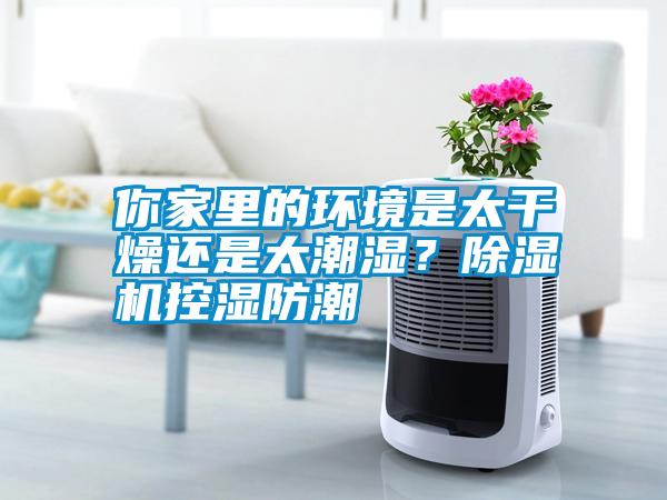 你家里的環(huán)境是太干燥還是太潮濕？除濕機控濕防潮