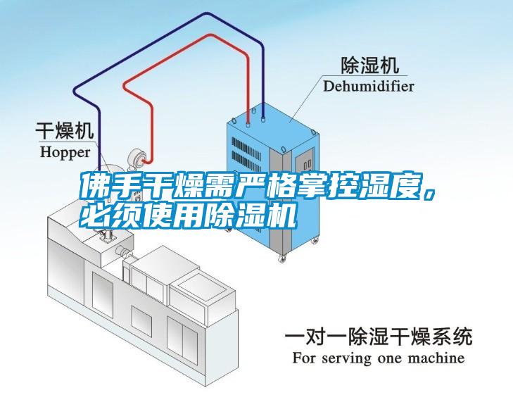 佛手干燥需嚴(yán)格掌控濕度，必須使用除濕機(jī)