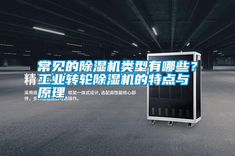 常見(jiàn)的除濕機(jī)類型有哪些？工業(yè)轉(zhuǎn)輪除濕機(jī)的特點(diǎn)與原理